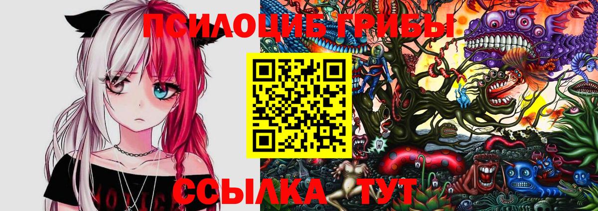 Псилоцибиновые грибы ЛСД Старая Купавна