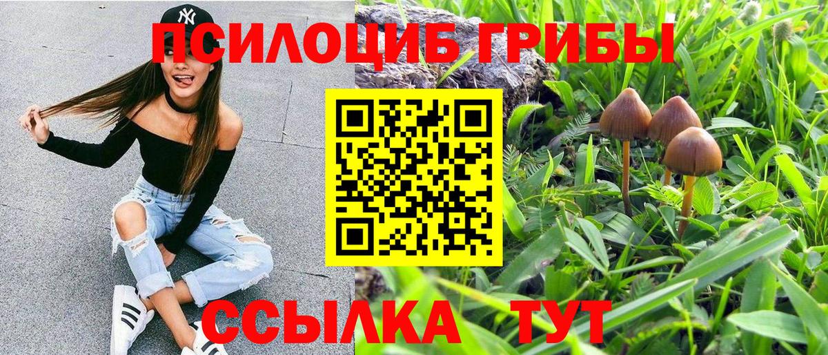 Старая Купавна  Псилоцибиновые грибы Magic Shrooms  Вход с VPN 